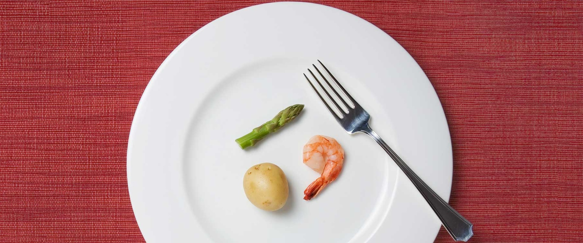 Smaller Plates: A Guide to Controlling Portion Sizes