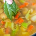 Creamy Vegetable Soup: A Delicious and Healthy Lunch Idea for Kids