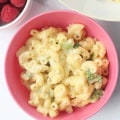 Macaroni and Cheese with Broccoli Florets: A Healthy Dinner Idea for Kids